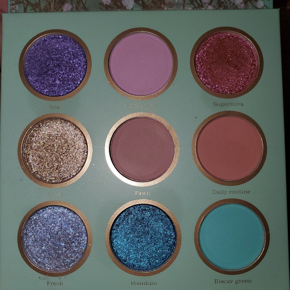 Sheglam breeze eyeshadow palette